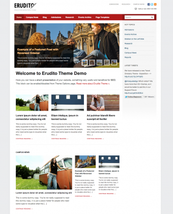 erudito-magazine-wordpress-theme